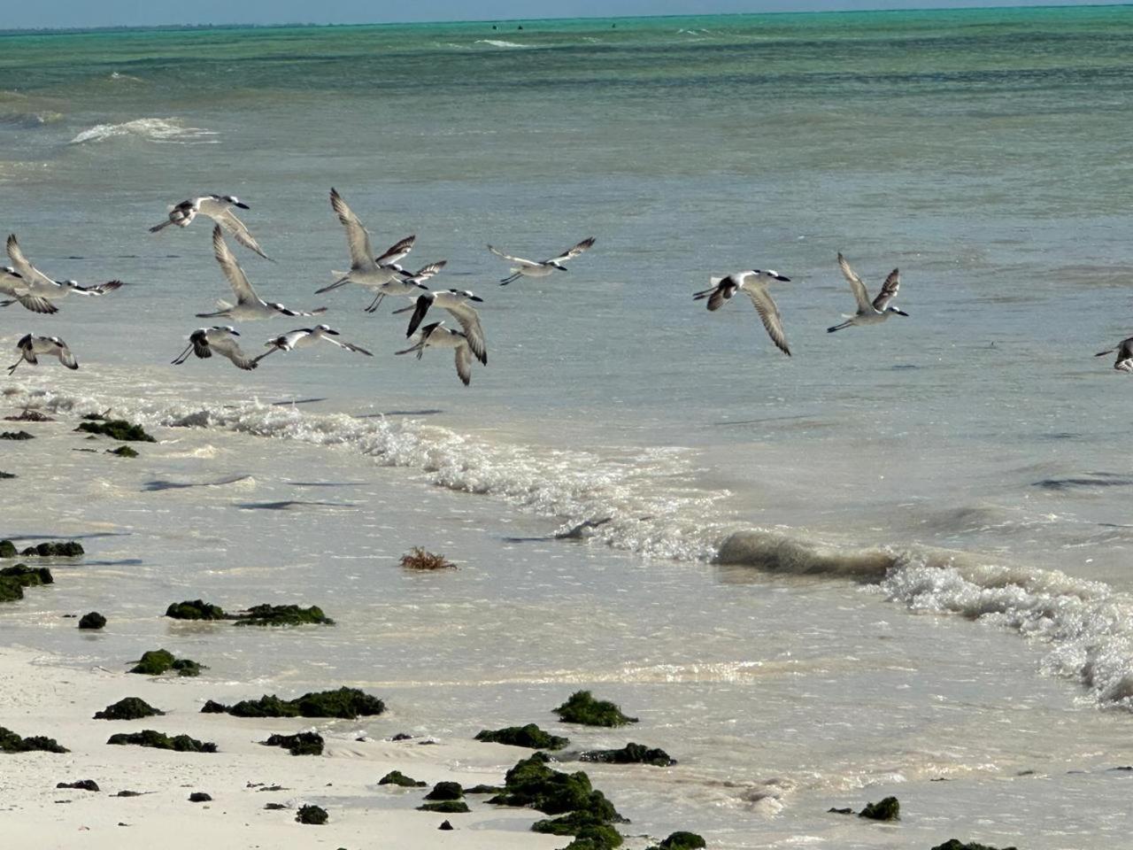 Villa Serenity, Tanzania Unforgettable Paje Luaran gambar